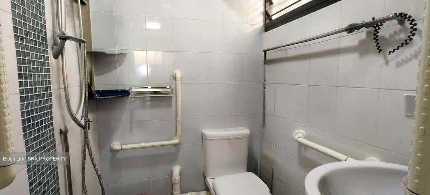 Blk 119 Mcnair Spring (Kallang/Whampoa), HDB 4 Rooms #536357181